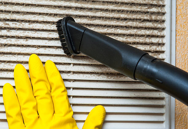 Best Duct Cleaning Specialists  in South Blooming Grove, NY